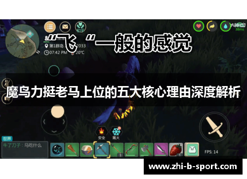 魔鸟力挺老马上位的五大核心理由深度解析