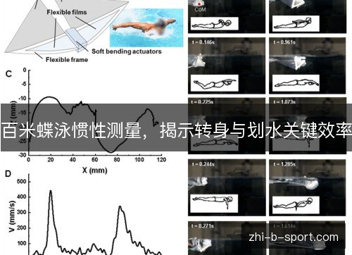 百米蝶泳惯性测量，揭示转身与划水关键效率